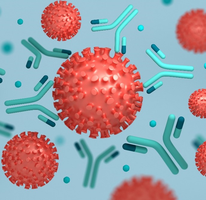 Osteoporosis Management In Primary Care Safety